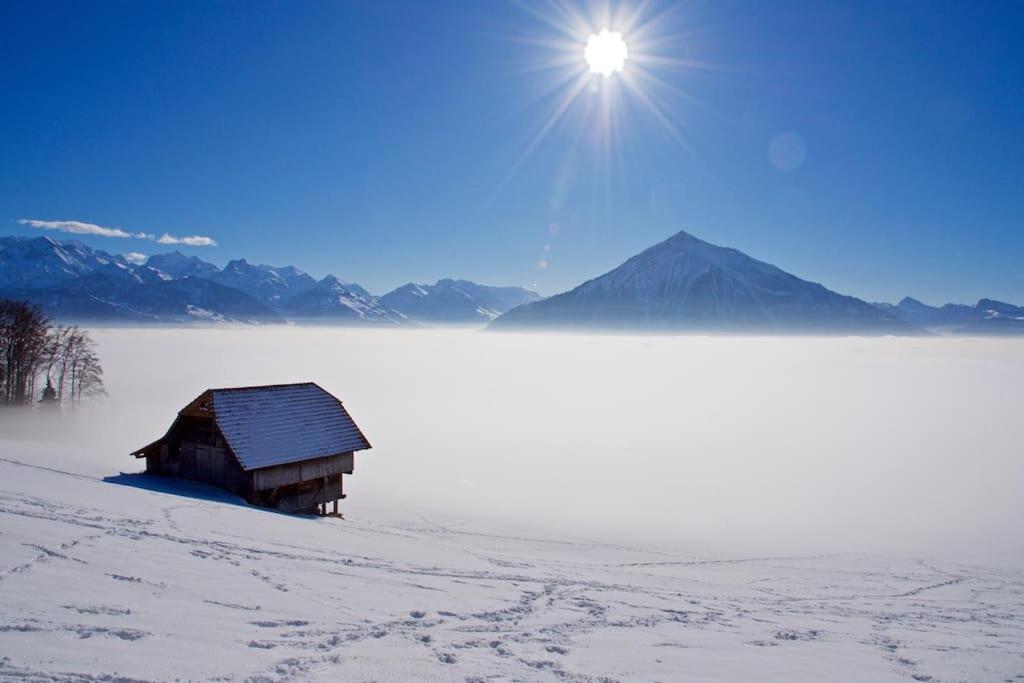 Lakeview In Beautiful Appartement *