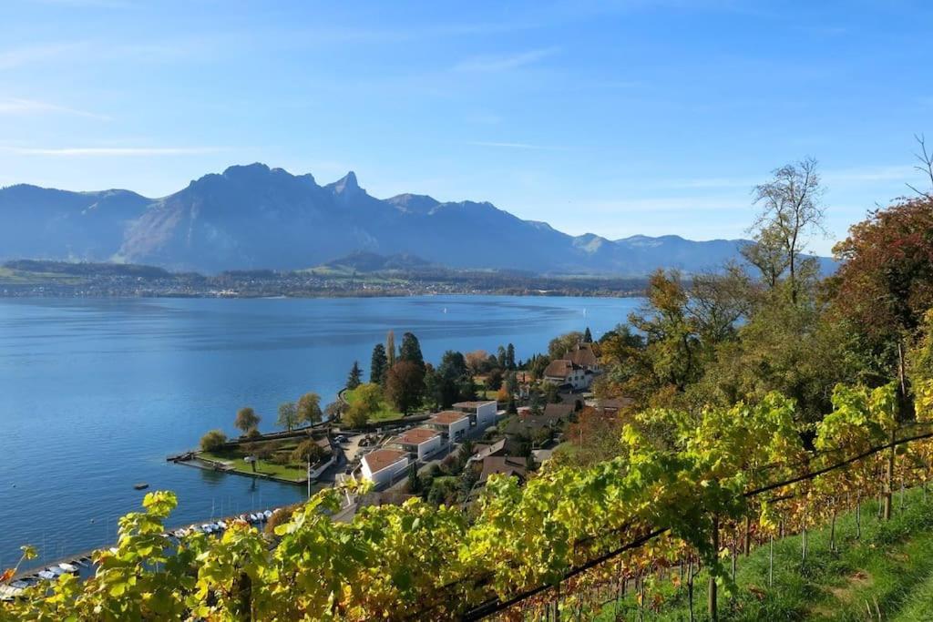 Appartement Lakeview In Beautiful Oberhofen