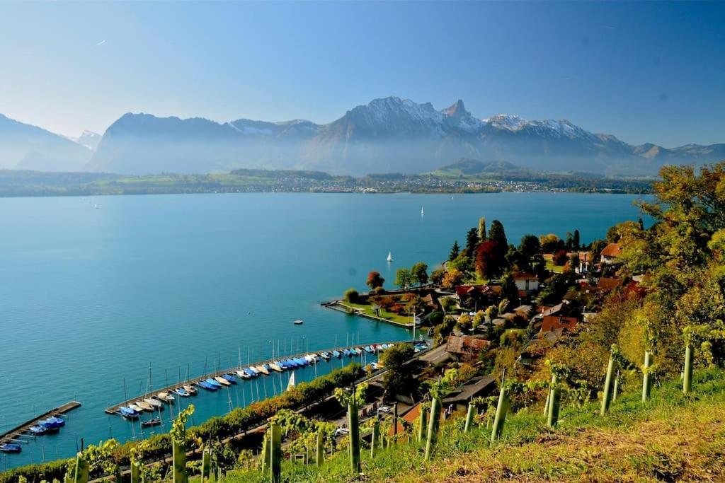 Lakeview In Beautiful Appartement *